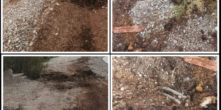 Načelnik Starigrada šalje bagere na zaštićenu plažu Pisak, a Ministarstvo i inspekcija ga štite!