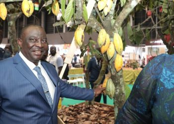 Najbolji svjetski proizvođač kakaa prijeti povećavama cijena kao odgovor na američke tarife – Reuters – RT Afrika