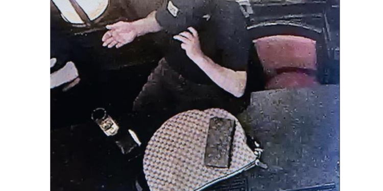 Navodni lopov torbe Kristi Noem potrošio je 205 dolara na hranu i alkohol na svom Amexu prije nego što je zaspao za stolom restorana, naplaćujući dokumente