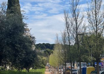 Novo izdanje Lapada: Stabla brijesta pokazala zelenilo (FOTO)