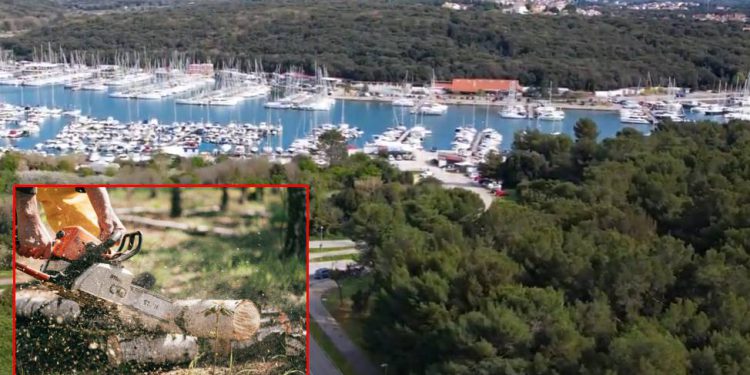 Otkrili smo plan brutalne likvidacije jedne čitave urbane šume u blizini Pulske Piramide u ime privatnih interesa!