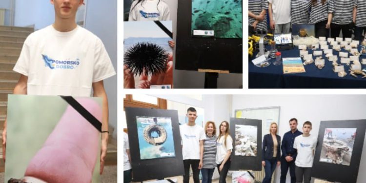 Otvorena izložba “Vrisak mora”, Pomorska škola dobila školski mikroskop