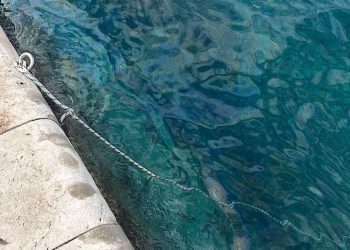 Ovo je golem udarac za morski ekosustav i rezultat nebrige!