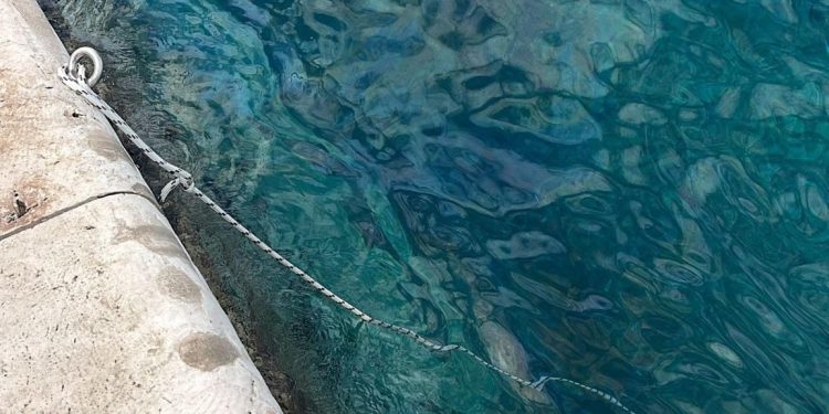 Ovo je golem udarac za morski ekosustav i rezultat nebrige!