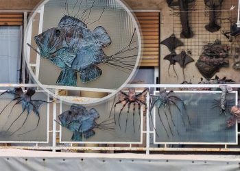 Ovo je jedan od najoriginalnijih balkona u Splitu: Nema akvarij, ali njime “plove” brojna morska bića