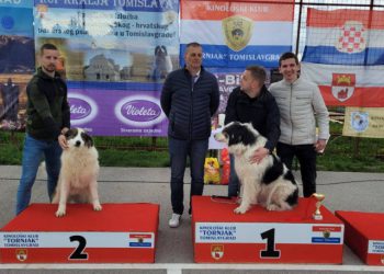 PAS ARAMBAŠA BRUMBI Izabran najljepši tornjak u BiH