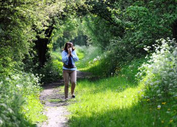 Polen snažno udara sjeveroistokom i jugom – a stručnjaci kažu da sezona alergije traje duže