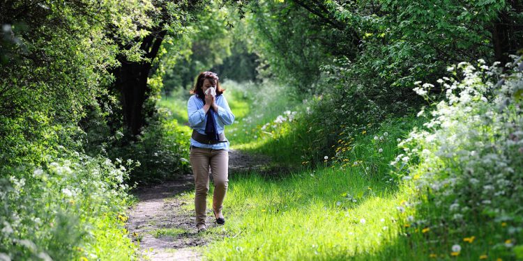 Polen snažno udara sjeveroistokom i jugom – a stručnjaci kažu da sezona alergije traje duže