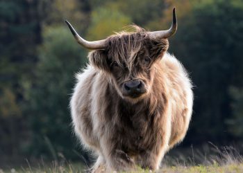 Poslovi ožujka prijavljuju ključni trenutak za Bitcoin Bulls jer Trumpove tarife rizikuju recesiju