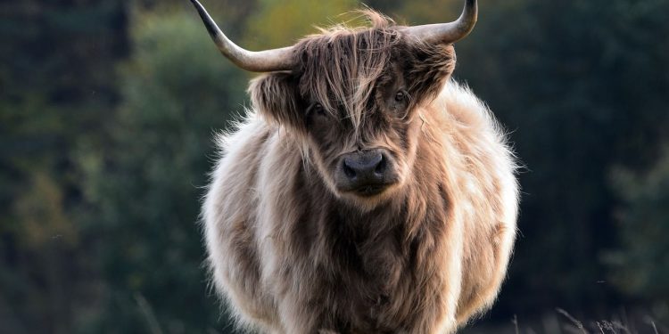 Poslovi ožujka prijavljuju ključni trenutak za Bitcoin Bulls jer Trumpove tarife rizikuju recesiju