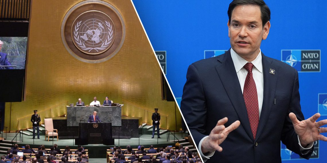 Prijedlog Bijele kuće eliminirao bi financiranje UN -a i NATO -a i SLASH državnog proračuna na pola