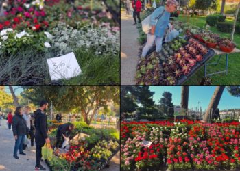 Proljeće u punom sjaju: Sajam cvijeća u parku Luja Šoletića dodatno obojao sunčan dan (FOTO)