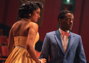 Propušta li doktor koji sadnje u vlastitoj predstavi neradu s fanovima?