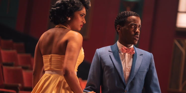 Propušta li doktor koji sadnje u vlastitoj predstavi neradu s fanovima?