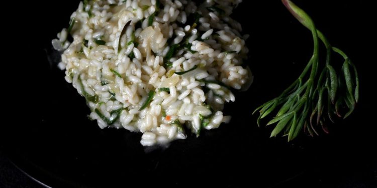 RIŽOT OD MOTARA Zemlja gurmanija