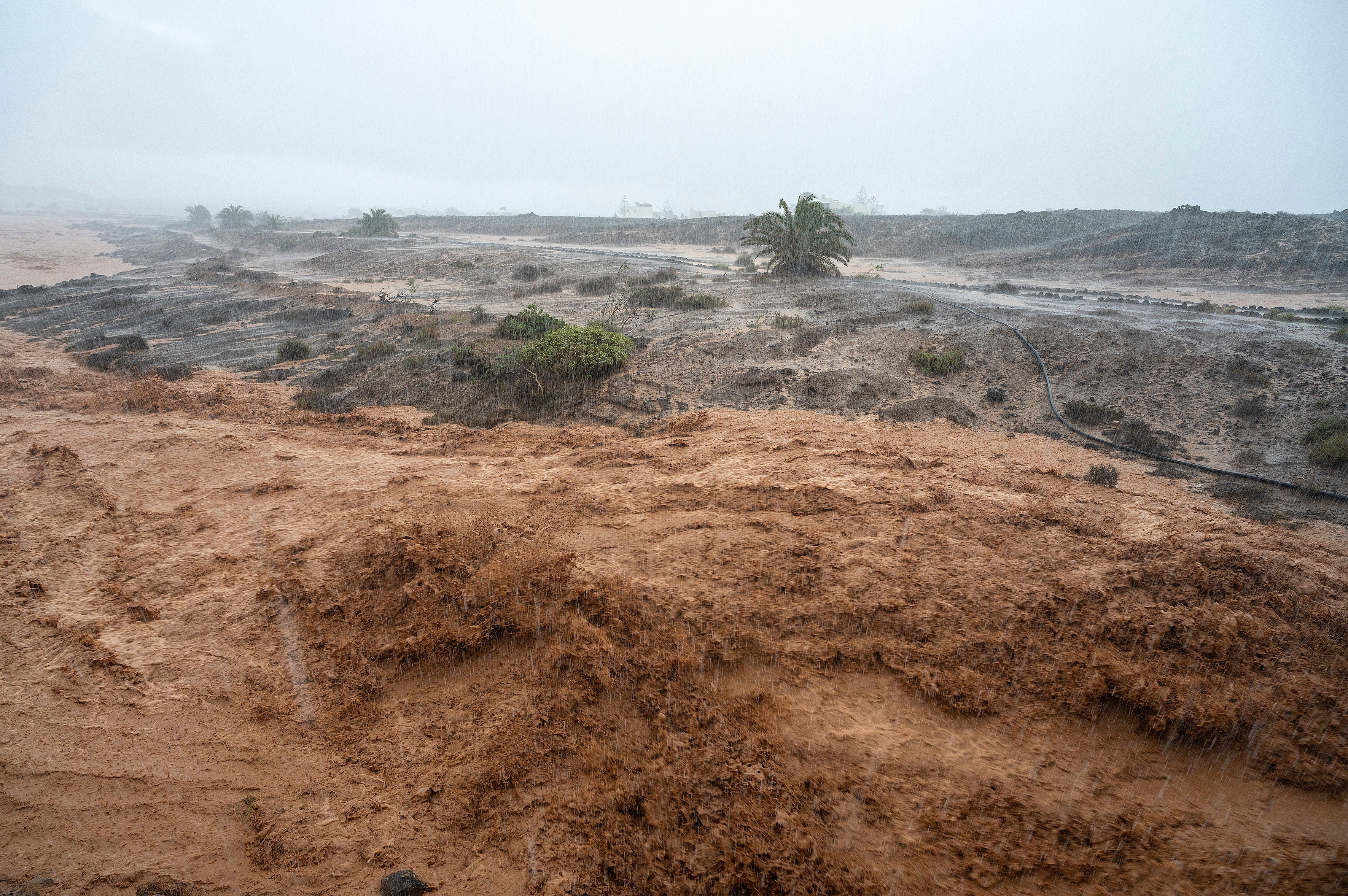 Oštećene ravnice u općini Teguise, Lanzarote