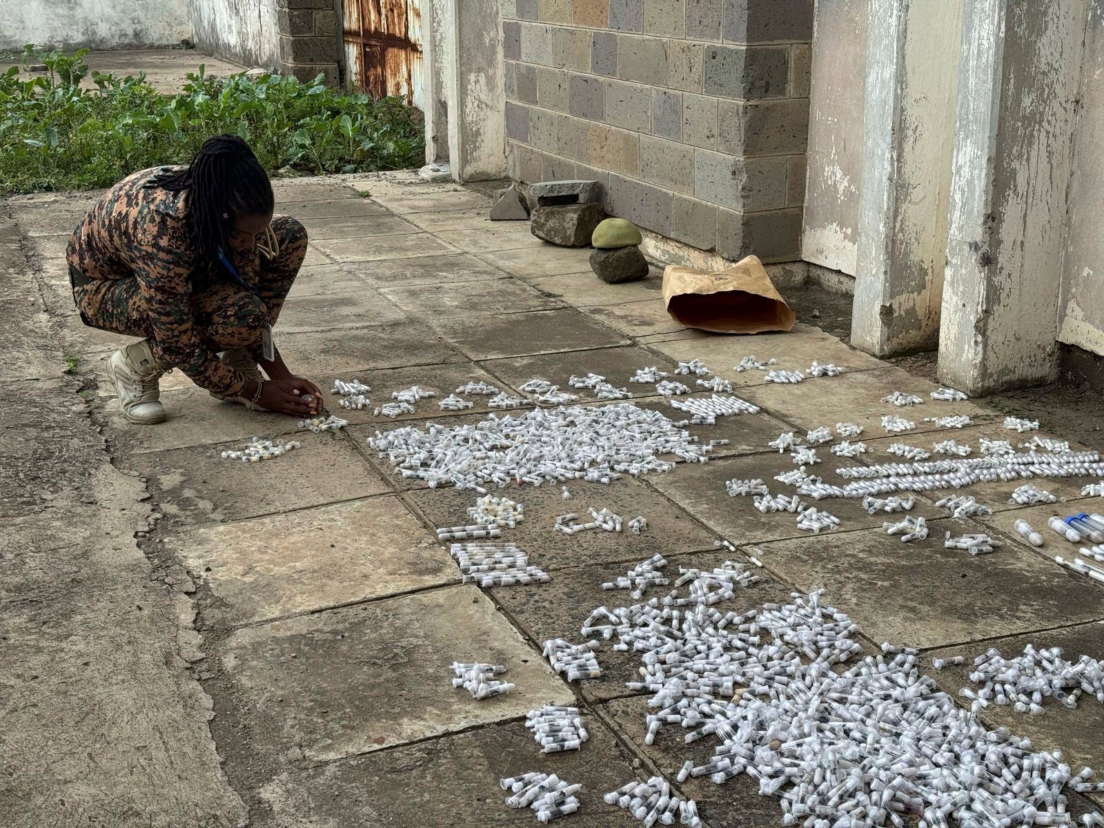 Kenijski dužnosnici prikazuju insekte uživo kraljice mrava koji su bili namijenjeni Europi i Aziji, na sudovima za pravne zračne luke Jomo Kenyatta u Nairobiju u Nairobiju, Kenija u utorak, 15. travnja 2025. (Kenya Wildlife Service putem AP)