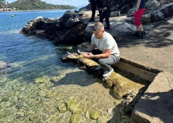 SREĆA Uspješno spašena mlada morska kornjača u NP Mljet: “Progutala udicu