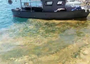 STRAŠNE SNIMKE IZ HVARA “Nafta posvuda pliva i to baš sad…”