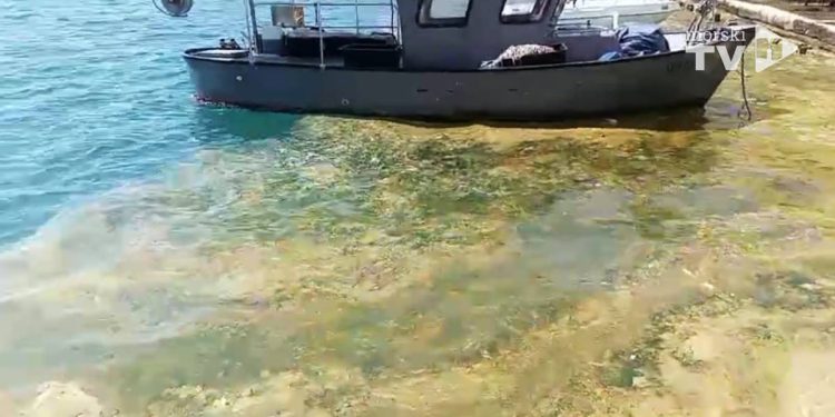 STRAŠNE SNIMKE IZ HVARA “Nafta posvuda pliva i to baš sad…”