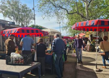 SVAKE SRIĆE NA SPLITSKOM PAZARU Ima jagoda, šparoga, artičoka,… samo fali šoldi