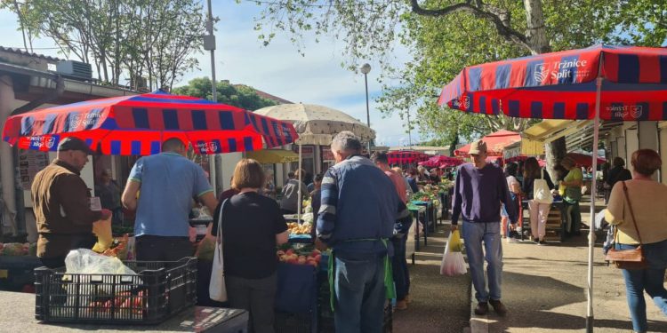 SVAKE SRIĆE NA SPLITSKOM PAZARU Ima jagoda, šparoga, artičoka,… samo fali šoldi