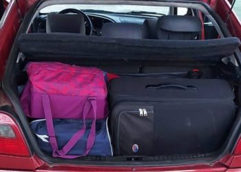 ŠVERC U BiH Među zaplijenjenim predmetima i vibratori, meso od deve, lutke za seks i igle za presađivanje kose