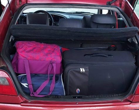 ŠVERC U BiH Među zaplijenjenim predmetima i vibratori, meso od deve, lutke za seks i igle za presađivanje kose