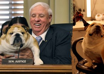Senator Jim Justice podržava Trumpovu energiju EO u pojavljivanju Senata s virusnom zvijezdom Babydog