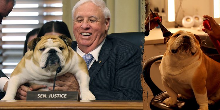 Senator Jim Justice podržava Trumpovu energiju EO u pojavljivanju Senata s virusnom zvijezdom Babydog