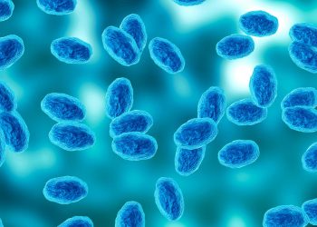 Simptomi koje treba tražiti kao omotavanje kašlja za kašalj lepršaju u SAD -u