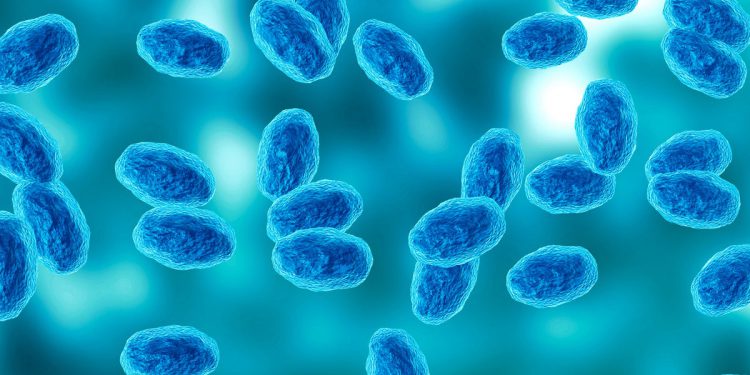 Simptomi koje treba tražiti kao omotavanje kašlja za kašalj lepršaju u SAD -u