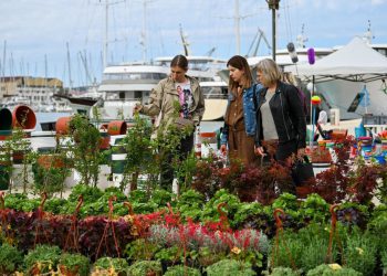 Slobodna Dalmacija – Cvjetna manifestacija ‘Flower Market Trogir 2025.’ danas svečano otvorena. Posjetitelji su bili oduševljeni