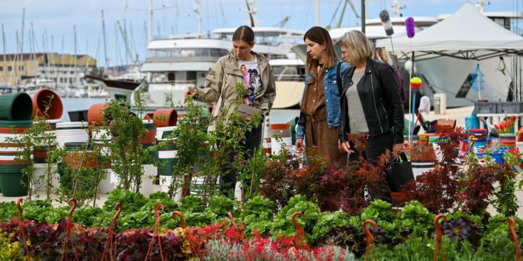 Slobodna Dalmacija – Cvjetna manifestacija ‘Flower Market Trogir 2025.’ danas svečano otvorena. Posjetitelji su bili oduševljeni