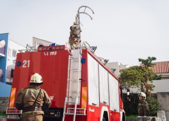 Splitski vatrogasci spasili mačku. Pala je s visine na klima-uređaj. Izvlačili su i zmiju iz motora vozila…