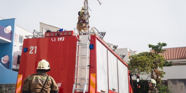 Splitski vatrogasci spasili mačku. Pala je s visine na klima-uređaj. Izvlačili su i zmiju iz motora vozila…