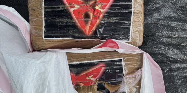 Stanovnici Teksasa dobivaju iznenađenje uskršnjih darova na obali – paketi kokaina koji su izbacili panične krijumčare