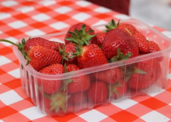 Stižu jagode, ovo je cijena na dubrovačkoj placi