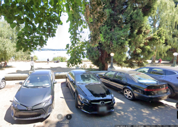 Susjedi zahtijevaju odgovore nakon što ‘bijesna masturbacija’ preuzima Seattle Park