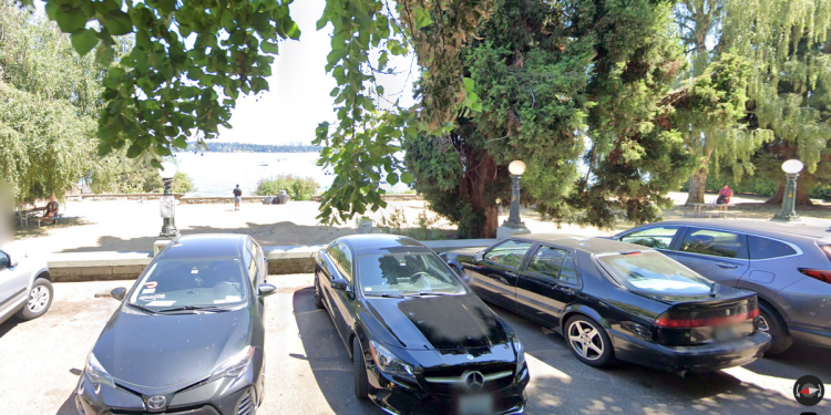 Susjedi zahtijevaju odgovore nakon što ‘bijesna masturbacija’ preuzima Seattle Park