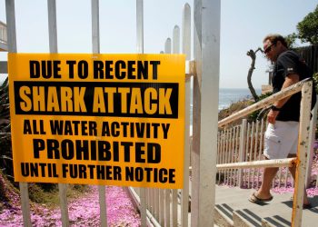 Tinejdžer koji je preživio napad morskih pasa zahtijeva promjene kako bi se ljudi čuvali u vodi