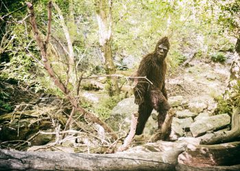 Tortilje u Novom Meksiku i Bigfoot u Kaliforniji? Američke države prihvaćaju nove simbole
