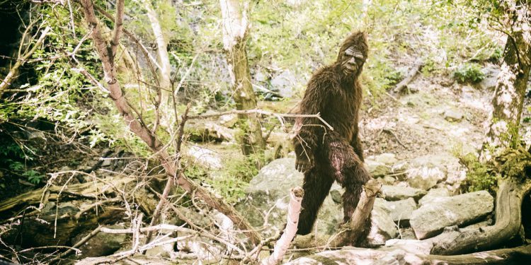 Tortilje u Novom Meksiku i Bigfoot u Kaliforniji? Američke države prihvaćaju nove simbole