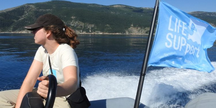 Traže se volonteri za očuvanje bjeloglavih supova