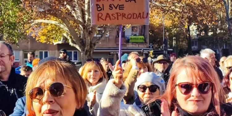 Tri zakona pod povećalom Ustavnog suda