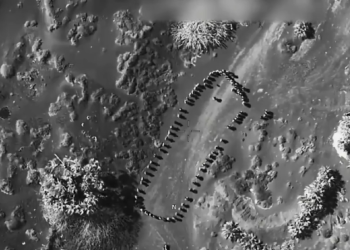 Trump objavljuje Video nas u Jemenu – RT World News