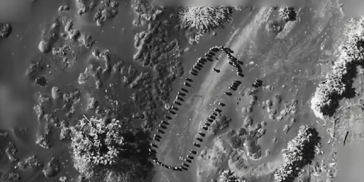 Trump objavljuje Video nas u Jemenu – RT World News