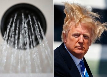 Trump planira popraviti tuširanje i perilice posuđa, tako da sve postaje čistije – uključujući njegovu ‘lijepu kosu’