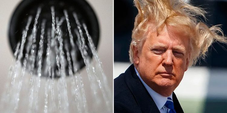 Trump planira popraviti tuširanje i perilice posuđa, tako da sve postaje čistije – uključujući njegovu ‘lijepu kosu’