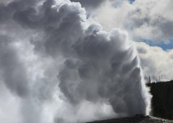 Turist dobiva zatvor za lutanje malo previše blizu poznate atrakcije Yellowstonea